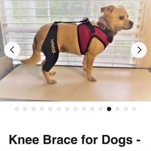 TAILWIND double knee brace for small dogs. ACL or just knew support Size XS